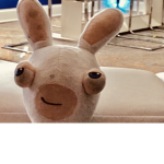 #RabbidNation