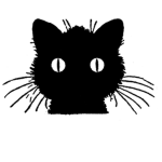 ? the black cats ?