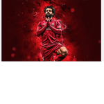 Bigmo123