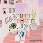 Picture Perfect Studios
