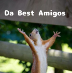 Da Best Amigos !