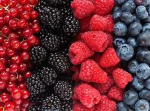 the food in your kitchen