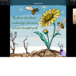 Bee team forever