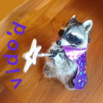 vido'd