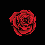 Red Rose Mafia [FWTXRP]