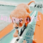 -wil’s clothing-