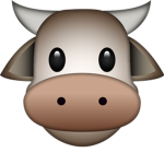 my cows!!