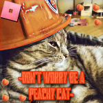 ~Don’t Worry Be A Peachy Cat~