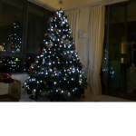 Xmas tree team