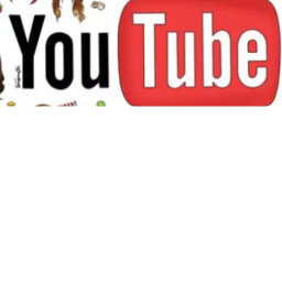 Youtuber (Assasin mode)