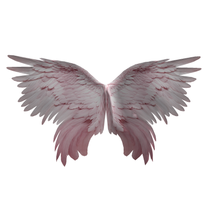 Angel Wings Pink