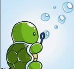 Turtles Clam