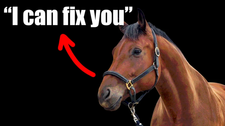 Real Horse Simulator