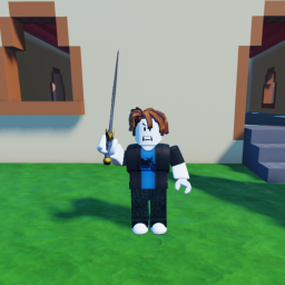 Sowrd fight arena