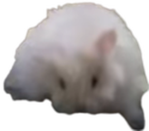 🐹 PELMENROOMS REMASTERED [Przedpremierowe wydanie] [Naprawiono błąd]