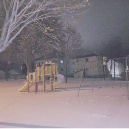 Snow Day