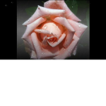 RuMa