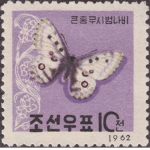 dosii