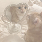 αηηα’ѕ вяαη∂