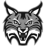 Roblox Tier 3 Lynx