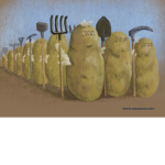 THE Potato ARMY (official)