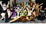 Furry’s home