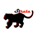 Strata