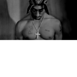 Iconic_kam