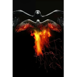 FeliaPlayz|Phoenixraven Studios|