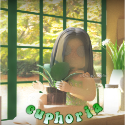 ✰ euphoria store ✰