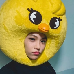 🐥 icon