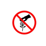 We don’t talk about flowers