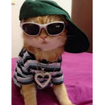 K-POP is the best.