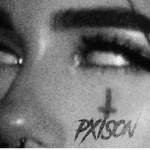 #PXISON
