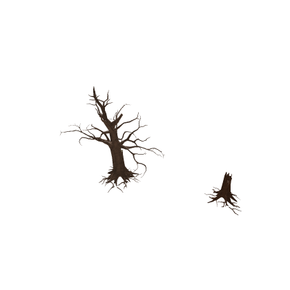 Swamp Dead Trees