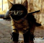 N.K.C! ~Ninja Kitty Clan~