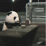 _GiulyPandaBearYT_ official groupp