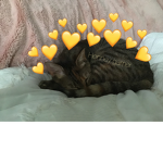 Honey gamer