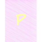 Paige clothing store