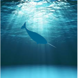 Narwhale Empire HQ