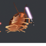 Fairy roach group