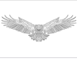 Silver Eagles Crew