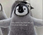 penguin give a hug :)