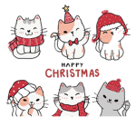 The baby kitty’s
