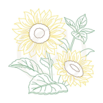 Adventurous Plants
