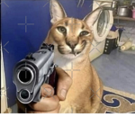 gangster flopppas