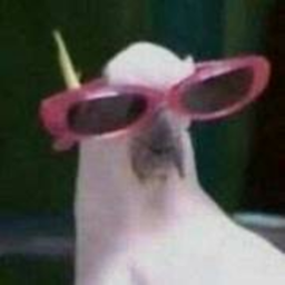 Heprio team Official team