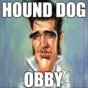 HOUND DOG OBBY