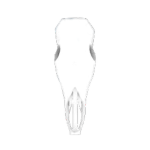 TRVSSKE | Community