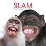 .Slam()